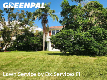 Lawn Care Service nearby Clearwater, FL, 