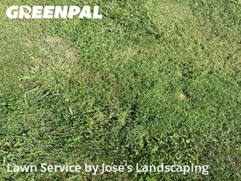 Yard Mowing nearby Woodbridge, VA, 