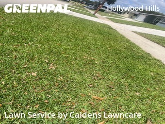 Lawn Mowing nearby Hollywood, FL, 