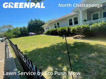 Lawn Cut nearby Chattanooga, GA, 