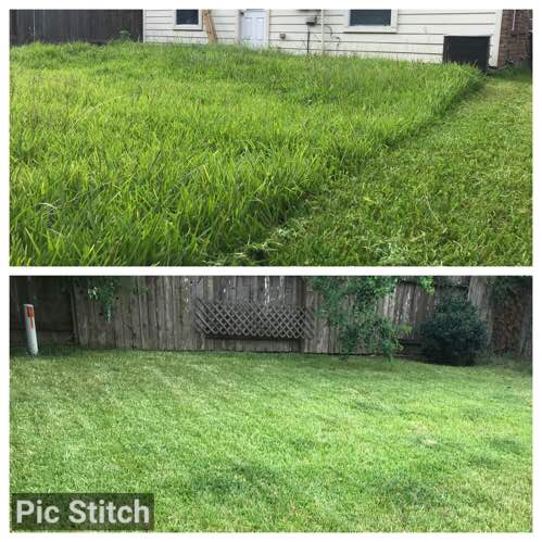 Lawn Care Service in Montgomery, TX, 77356