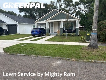 Grass Cut nearby St. Petersburg, FL, 