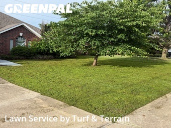 Lawn Maintenance nearby Springdale, AR, 