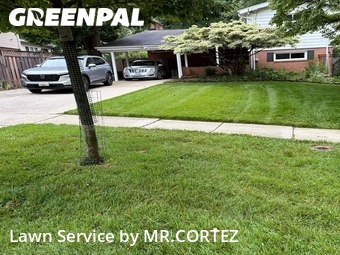 Yard Cutting nearby Silver Spring, MD, 