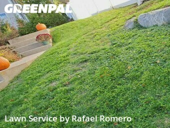 Grass Cutting nearby Ipswich, MA, 