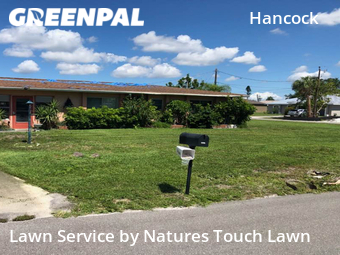 Lawn Cutting nearby Cape Coral, FL, 