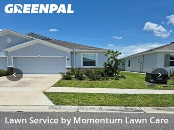 Grass Cut nearby Wesley Chapel, FL, 