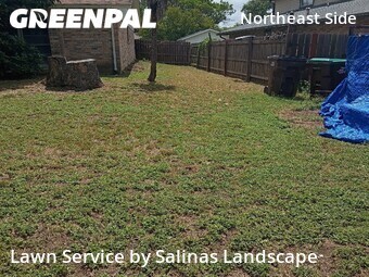 Lawn Maintenance nearby San Antonio, TX, 