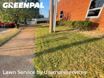 Grass Cutting nearby St. Louis, MO, 