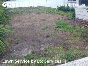 Lawn Maintenance nearby Tampa, FL, 