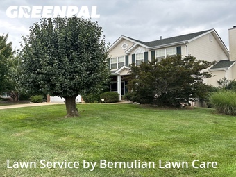 Grass Cutting nearby O'fallon, MO, 