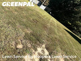 Lawn Cutting nearby Dallas, NC, 