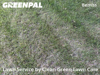Lawn Mowing Service nearby Spokane, WA, 