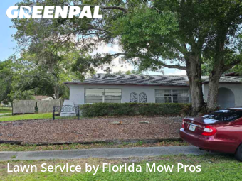 Lawn Mow nearby Tampa, FL, 