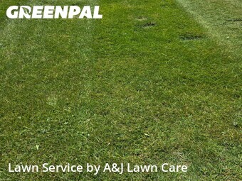 Lawn mowed in Flint, 48506