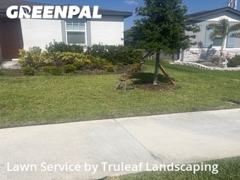 Lawn Cut nearby Parrish, FL, 