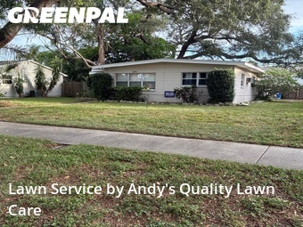 Lawn Mow nearby St. Pe Tersbug, FL, 