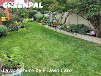 Lawn Care nearby Frederick, MD, 