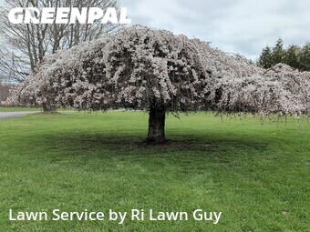 Lawn Care nearby Tiverton, RI, 
