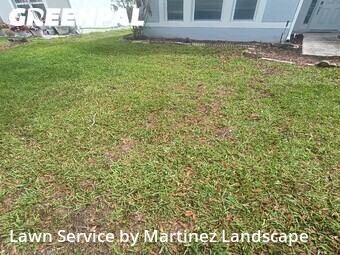 Lawn Service nearby Winter Garden, FL, 