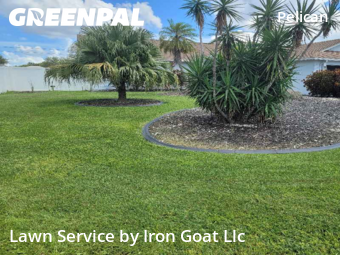 Lawn Cut nearby Cape Coral, FL, 