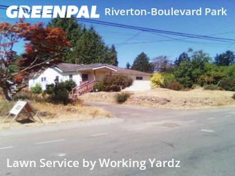 Yard Care in Burien, 98168, Yard Care by Working Yardz, work completed in Nov , 2025