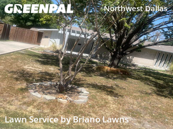 Grass Cutting nearby Dallas, TX, 