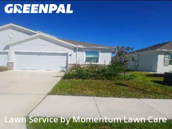 Lawn Carein Wesley Chapel,33543,Lawn Mow by Momentum Lawn Care, work completed in Nov , 2025