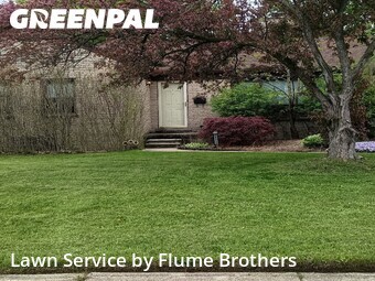 Lawn Cut nearby Roseville, MI, 