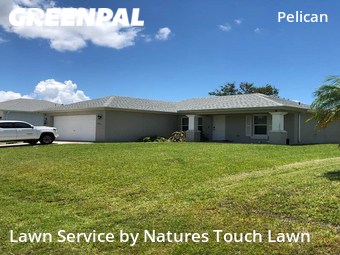 Grass Cutting nearby Cape Coral, FL, 