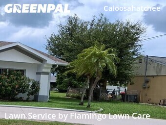 Local Lawn And Landscape Maintenance Services Near Me In Cape Coral,33904,Landscaping Services by Flamingo Lawn Care, work completed in Jul , 2026