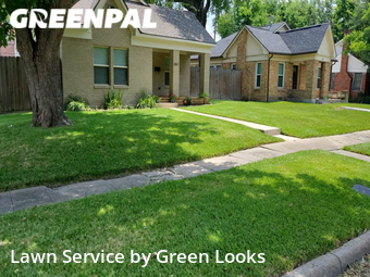 Lawn Cut nearby Houston, TX, 