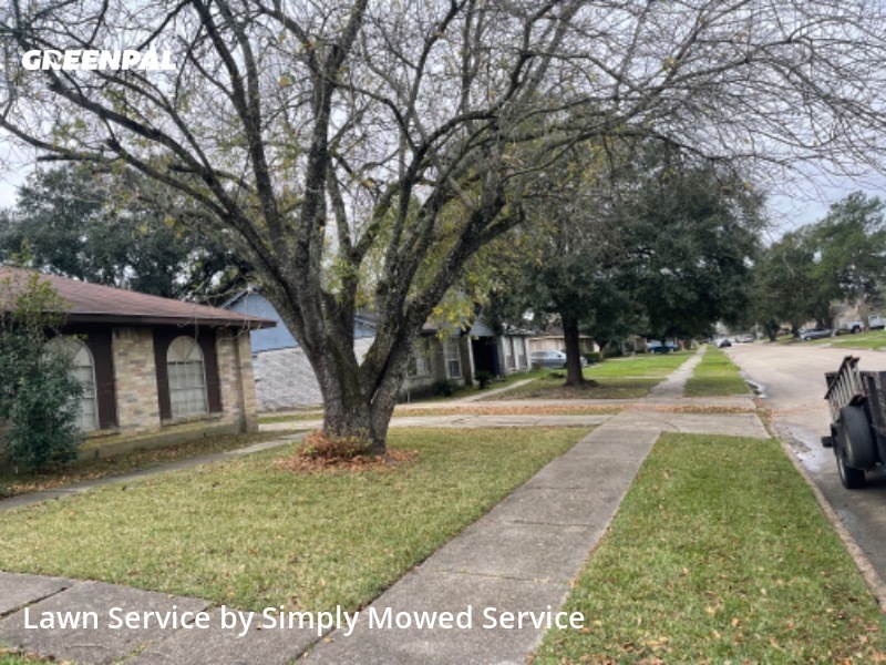 Lawn Mowing Service nearby Spring, TX, 