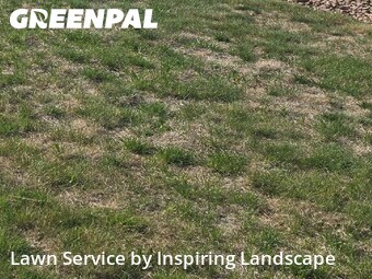 Lawn Mowing nearby Colorado Springs, CO, 