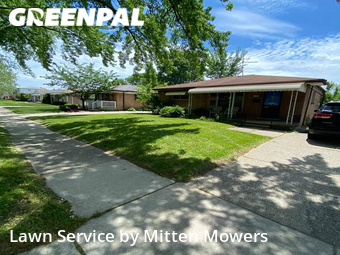 Grass Cut nearby Warren, MI, 