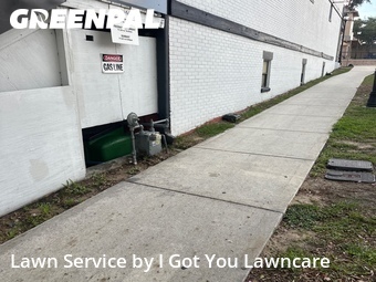 Lawn Cut nearby Clermont, FL, 
