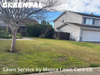 Work completed by professional-lawn-care-service-in-Rocklin-CA