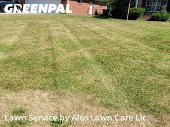 Lawn Mow nearby Indianapolis, IN, 