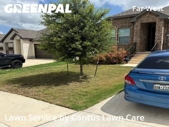 Lawn Cut nearby San Antonio, TX, 