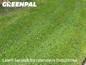 Grass Cutting nearby Baton Rouge, LA, 
