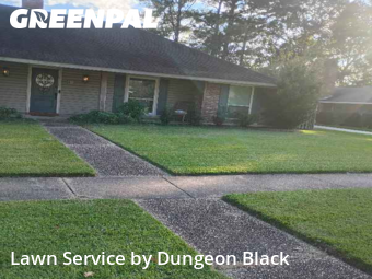 Yard Cutting nearby Baton Rouge, LA, 