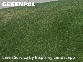 Yard Cutting nearby Centennial, CO, 