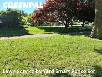 Lawn Mowing nearby Lombard, IL, 