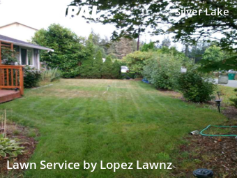 Grass Cut nearby Everett, WA, 