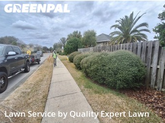 Yard Cutting nearby Gainesville, FL, 