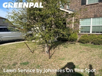 Lawn Cutting nearby Forney, TX, 