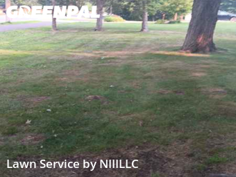 Grass Cut nearby Norton Shores, MI, 