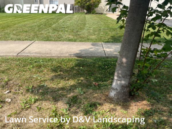 Grass Cut nearby Joliet, IL, 