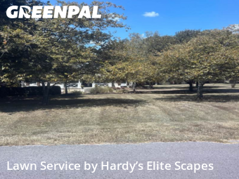 Yard Cuttingin Hendersonville,37075,Grass Cutting by Hardy’s Elite Scapes, work completed in Nov , 2025