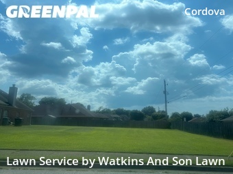 Grass Cut nearby Memphis, TN, 